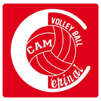 Logo CAM Volleyball Epinal